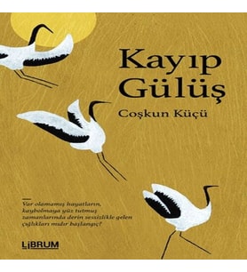 Kayıp Gülüş
