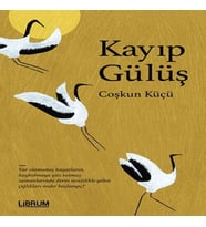 Kayıp Gülüş