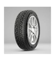 205/55 R16 91H Snowmaster 2 Kış Lastiği 2025