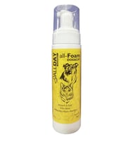 AllDay all-Foam Köpük Şampuanı 200 ml