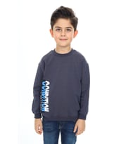 Toontoy Erkek Çocuk Ön ve Arka  Baskılı Sweatshirt (Füme)