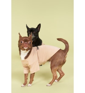 Salya Store Köpek Tsihrt Pou Serisi - Vizon 0-30kg Köpek Kıyafeti