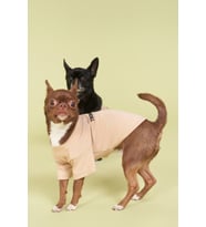 Salya Store Köpek Tsihrt Pou Serisi - Vizon 0-30kg Köpek Kıyafeti (Bej)