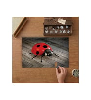 Uğur Böceği Tasarımı 240 parça Ahşap Puzzle Ahşap Kutuda MP09511