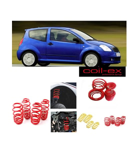 citroen c2 coil-ex 3.cm spor helezon yay