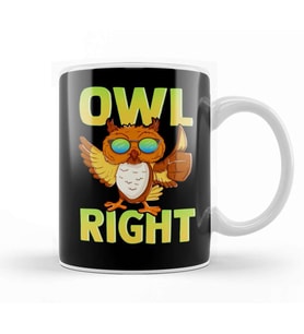 Funny Owl Right Thumbs Up Hippie Cute Alright Pun Kupa Bardak Porselen