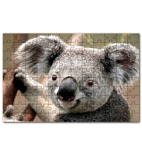 Cakapuzzle Ağaçtaki Sevimli Koala Yakın Çekim Puzzle Yapboz MDF (Ahşap) (120 Parça)