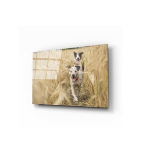 Miyrem Glasses Collection -A1^#  Köpek 2 Cam Tablo (Çok Renkli)