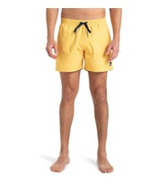 Quiksilver EVERYDAY SOLID VOLLEY 15 Sarı Erkek Şort EQYJV04120-17011