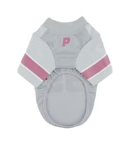 Varsity Köpek Kıyafeti