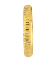 22 Ayar 10 Gr Bilezik - BZK35 (Çok Renkli)