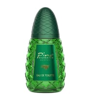 Pino Silvestre EDT 75 ml Erkek Parfümü