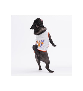 Pawstar Kedi ve KÜÇÜK Köpek T-Shirt Grey Sporty 2XL Sırt43cm Göğüs58cm Boyun38cm