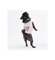 Pawstar Kedi ve KÜÇÜK Köpek T-Shirt Grey Sporty 2XL Sırt43cm Göğüs58cm Boyun38cm