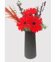 Siyah Çizgili Vazoda 3 Kırmızı Gerbera Çiçeği