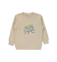 Civil Boys Erkek Çocuk Sweatshirt 2-5 Yaş Gri (Taş)