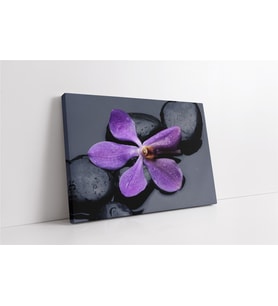 Spa Taşları ve Orkide (A.ALTIN)