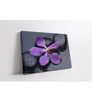 Spa Taşları ve Orkide (A.ALTIN)