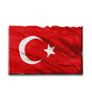 Türk Bayrağı Kanvas Tablo ABY108