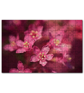 Cakapuzzle Sarı Tohumlu Kırmızı Çiçekler Yakın Çekim Puzzle Yapboz MDF (Ahşap) (120 Parça)