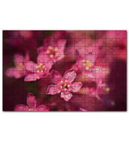 Cakapuzzle Sarı Tohumlu Kırmızı Çiçekler Yakın Çekim Puzzle Yapboz MDF (Ahşap) (120 Parça)