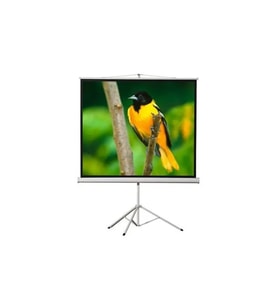 T120 240x200 cm Tripod Projektör Perdesi, yüksek performans ve şık tasarım