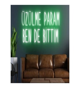 ÜZÜLME PARAM BEN DE BİTTİM Yazılı Neon Tabela