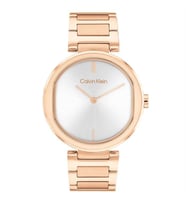 Calvin Klein CK25200253 Kadın Kol Saati
