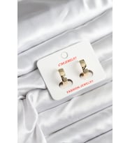 14K Gold Renk Kaplama CM Kadın Küpe - TJ-BKP11408