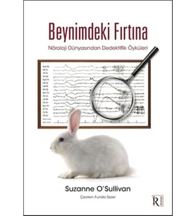 Beynimdeki Fırtına