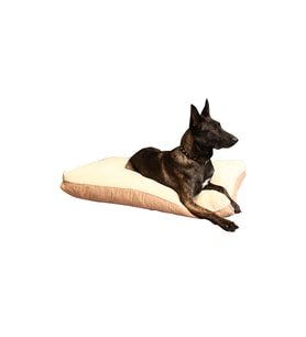 Çift Taraflı Mıu Serisi Kedi Köpek Yatağı 100x70 cm, Konforlu ve Şık