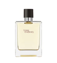 Hermes Terre D'Hermes Edt 100 Ml Erkek Parfüm