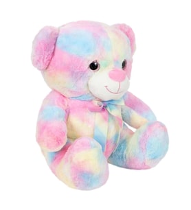 Gökkuşağı Renkli Peluş Ayı 45 cm