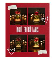 İncili Ledli Gül Fanus