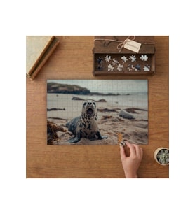 Fok Balığı Tasarımı 240 parça Ahşap Puzzle Ahşap Kutuda MP03846