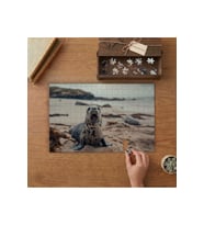 Fok Balığı Tasarımı 240 parça Ahşap Puzzle Ahşap Kutuda MP03846