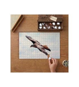 Gökyüzünde Uçan Kartal Tasarımı 240 parça Ahşap Puzzle Ahşap Kutuda MP09762