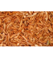 Gammarus (KURUTULMUŞ KARİDES) Balık Ve Kaplumbağa Yemi 25gr