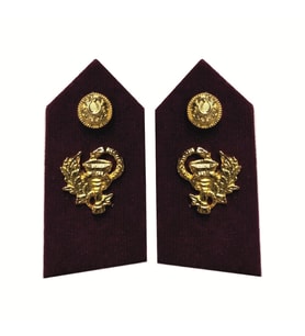 HARİCİ SUBAY ECZACI SPOLET - YAKA İŞARETİ