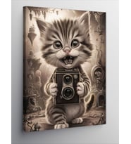 Kanvas Tablo Fotoğrafçı kedi
