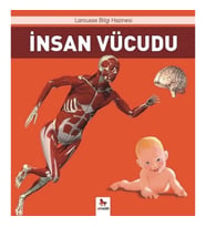İnsan Vücudu