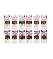 Resource Energy Çikolata Aromalı 200 ml X 24 Adet