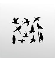 Folyo Sticker Kuş Serisi 30cm Uzunluk (Karışık)