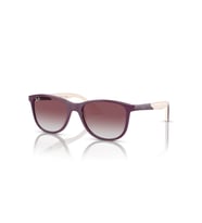 RJ 9077S 71348G 49 Ray-Ban Güneş Gözlüğü