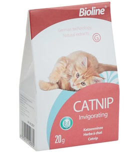 Bioline Catnip 20 gr (Yeşil)