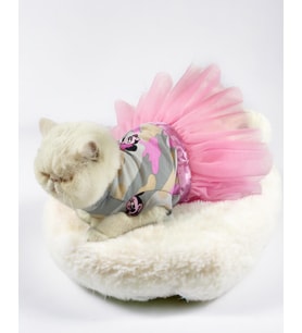 Pinky Minnie Polar Tütülü Kedi Elbisesi, Kıyafeti Tutu