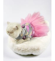 Pinky Minnie Polar Tütülü Kedi Elbisesi, Kıyafeti Tutu