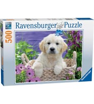 Ravensburger Golden Retriever 500 Parça Puzzle