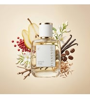 FIANENDÉI PARFUMS W-Y2 SPECIAL KADIN PARFUM 50 ML