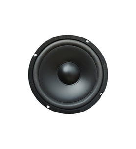 16 cm Çıplak Hoparlör 6.5" - PW-16.2 (Siyah)